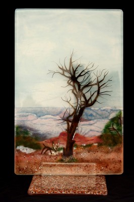 Grand Canyon TreeX800.jpg