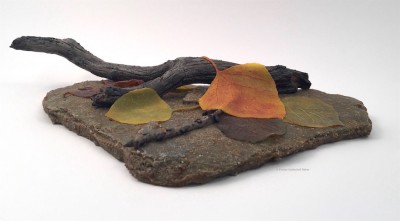 Forest Floor #2-Front View - small.jpg
