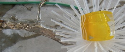 003.JPG (221.37 KiB) Viewed 15789 times Square egg.