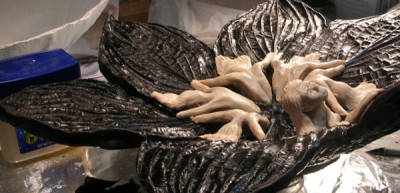 hostafigures.jpg (58.29 KiB) Viewed 49415 times hostafigures.jpg